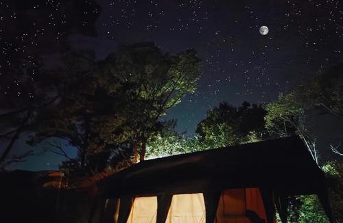 Suja Other | H2H Bir l Nature Camps