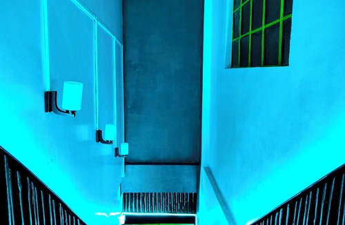 Darjeeling Hostel | Hidden Monkey Backpackers, Darjeeling