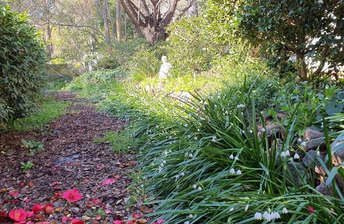Bowral House | Highcroft House, Bowral - Get Closer to Nature