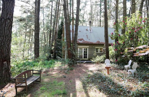 Medlow Bath Cabin | Holly Lodge Medlow Bath