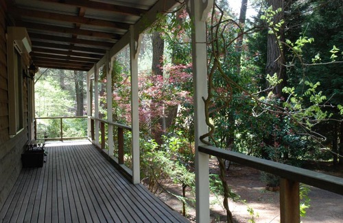 Medlow Bath Cabin | Holly Lodge Medlow Bath