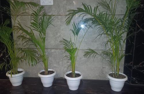 Jabalpur Hotel | Hotel Atithi Palace