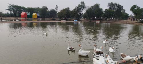 Kharchi Resort | Hotel Goram Garh Resort
