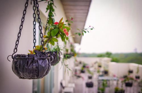 Rupnagar Hotel | Hotel Sarai Bharatgarh