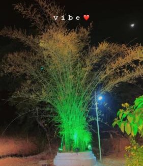 Orchha Hotel | Hotel Vijay Greens