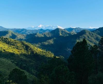 Kaul Cabin | Itmenaan Estate, Binsar Himalayas