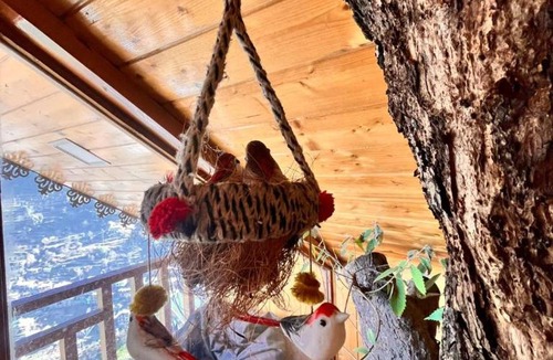 Jibhi Resort | ITW- Into The Wild Tree House , Jibhi