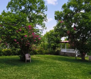Udaipur District Resort | Kevda Hill Resort Unit of Vincit Enterprise