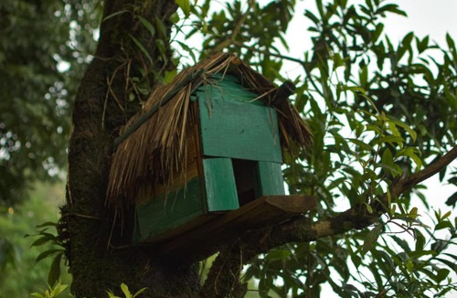 Kurseong Resort | La Das Treetops