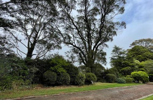 Burrawang House | MaddOx Farm Cottage - Farm Stay
