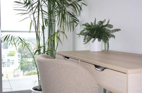 Mascot Apartment | Mascot Penthouse