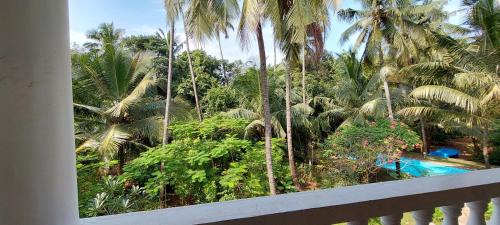 Morjim House | Morjim Plaza