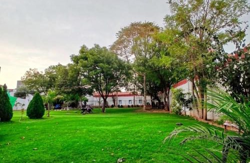 Amer House | Mystic Paradise