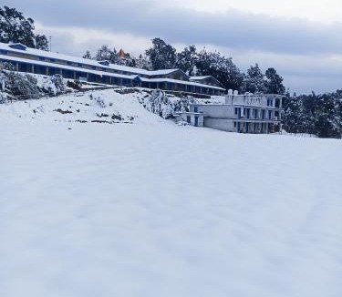 Almora House | Nature Valley Homestay Shaukiyathal