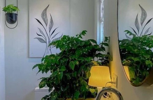 Kukatpally Housing Board Colony Hotel | Nivara Stays Kukatpally
