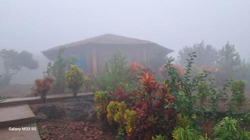 Amboli Resort | Om Arogya ,Yoga N Meditation retreat