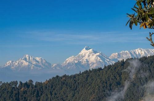 Naina Range Other | Once Upon A Forest by the Hillstay