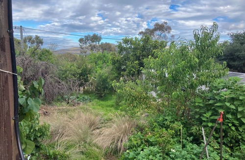 O'Connor House | One or Two rooms in house in O'Connor close to Civic, Dickson and Belconnen!