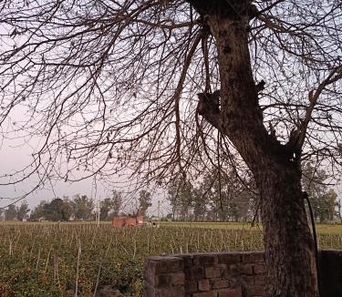 Patiala House | Padda Farm house