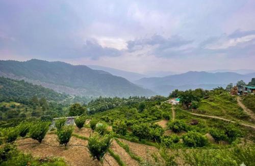 Kaul House | Pahadi Paradise homestay