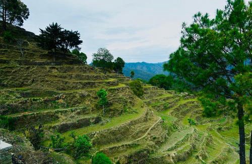 Almora House | Pahadi Pause