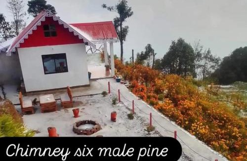 Kurseong House | Pine Tree Homestay