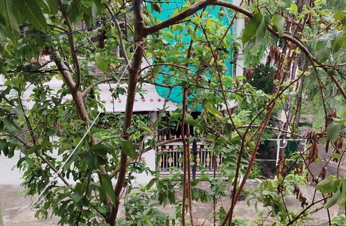 Bhopal Apartment | Priyanka Homestay Bhopal
