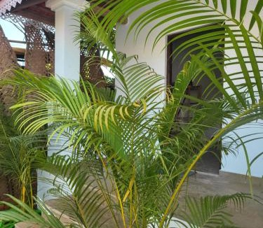 Arambol House | REWOGA Resort - Rooms with Open-Air Shower