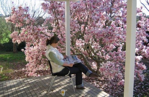 Bundanoon Apartment | SELF-CONTAINED STUDIO; PRIVATE "FERNDALE" B&B Farm Stay 5mins to BUNDANOON