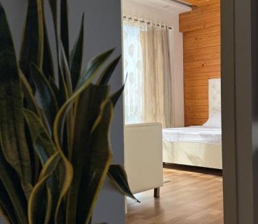 Bedla Apartment | Serene Hill view 1BHK I Pool & Gym I Udaipur