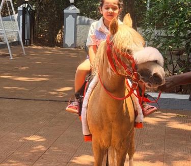 Matheran Hotel | Shalimar in the Forest