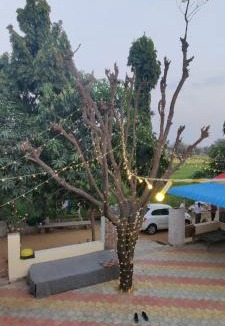 Sikar House | Shanti Farmstay