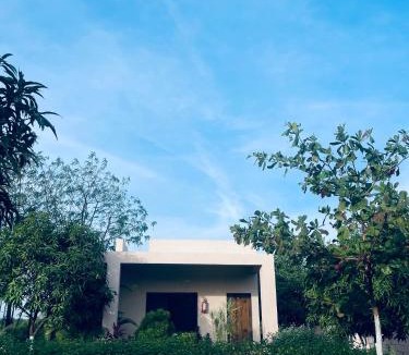 Talala Resort | ShreeVan Resort By Sk