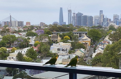 Camperdown Apartment | Skyline Camperdown Views: Renovated 2B/2B with Pools, Fitness & Free Parking