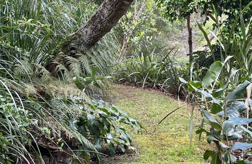Kincumber Cabin | Stunning Tiny House- 5 minutes to Avoca Beach & Amenities