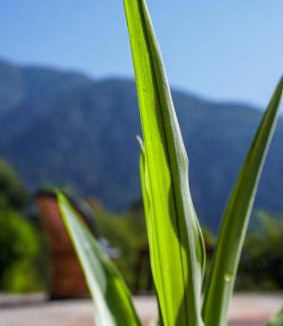 Gunehr House | Summer Guest House