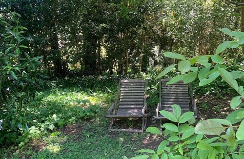 Bowral Cabin | the cabin - eco oasis