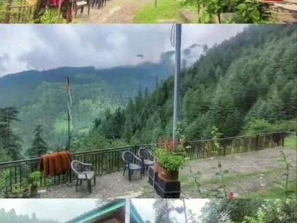 Banjar House | The Growing Jungle