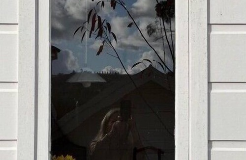 Bowral House | The Potting Shed at Bunya House