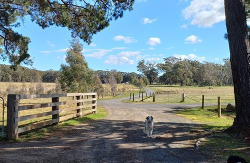 Moss Vale House | The Stables ~ Peace, Tranquility, Nature, Horses.