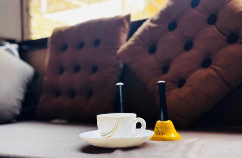 Jaisalmer House | The Trikut Homestay Jaisalmer