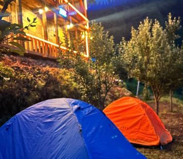 Shangarh Other | The WILD Canopy