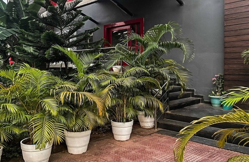 Jayadev Vihar House | Townhouse Swain Heritage