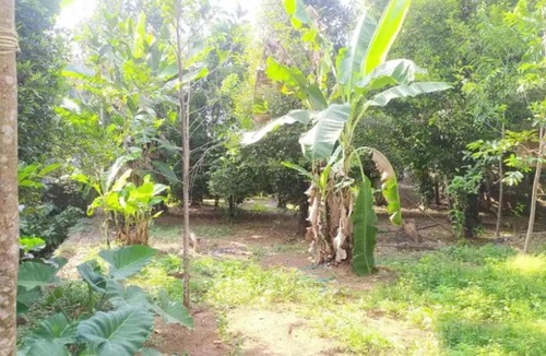 Bhubaneshwar House | Udarsh Lodge Odisha