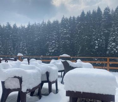 Old Manali Hostel | UpClimb Longstay for bus or taxi only guests