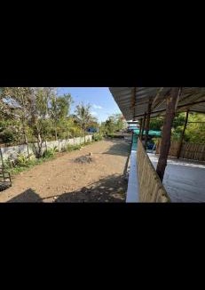 Shindewadi House | White House KMCT