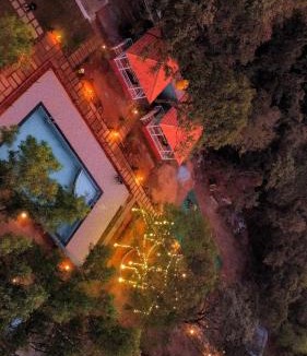 Timbholi House | Wild bison jungle stay