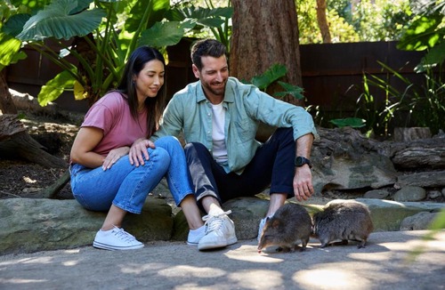 Mosman Hotel | Wildlife Retreat at Taronga