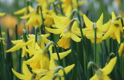 Bilpin House | WINDARRI - the perfect city escape! SPECIALS ON NOW !