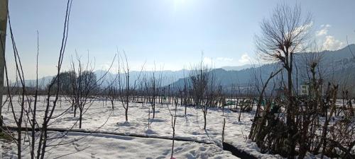 Apple Garden view and restaurant